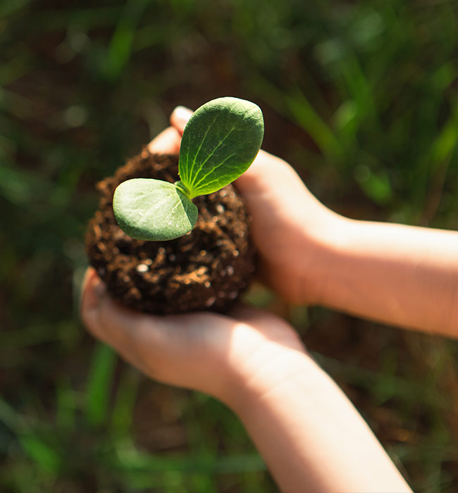 aceite afrodisiaco en línea ecológico
